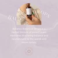 Balance | Botanical Hormone Support Drops