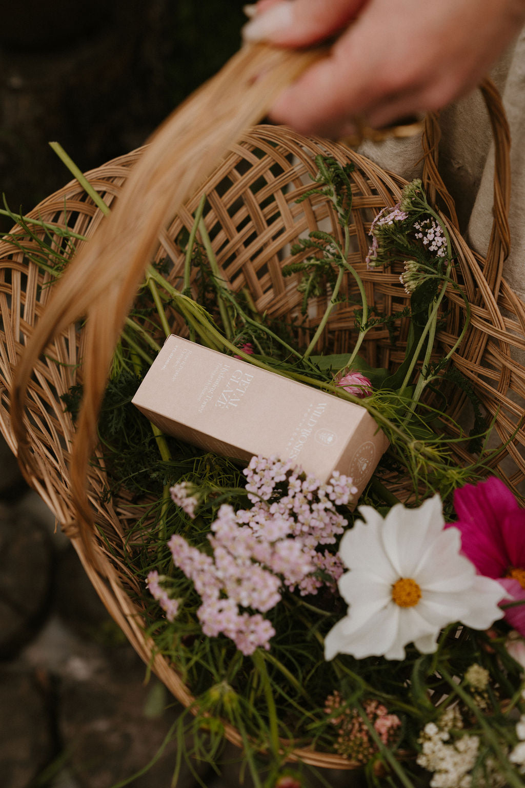 The Why Behind The New Era Of Wild Roses