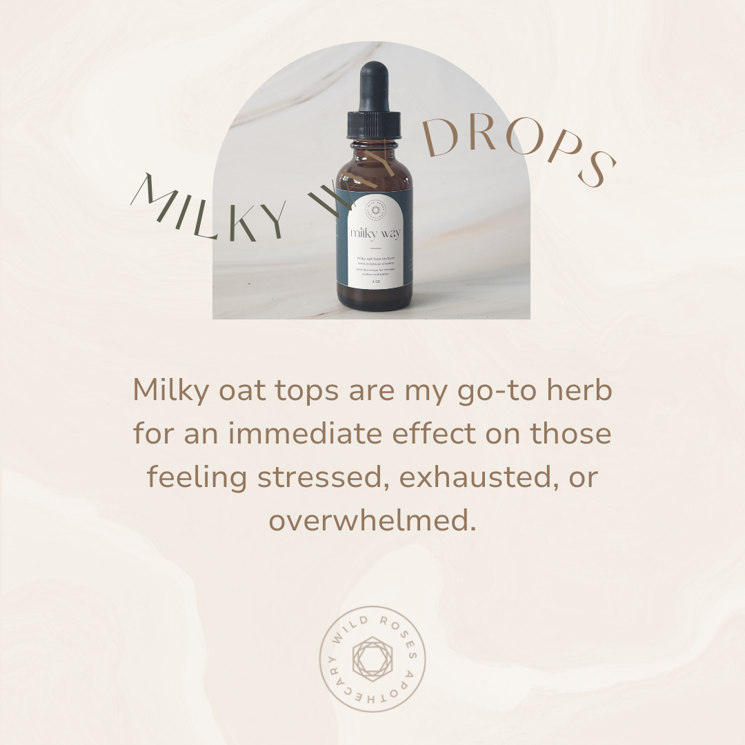 Milky Way | Milky Oats Herbal Tincture